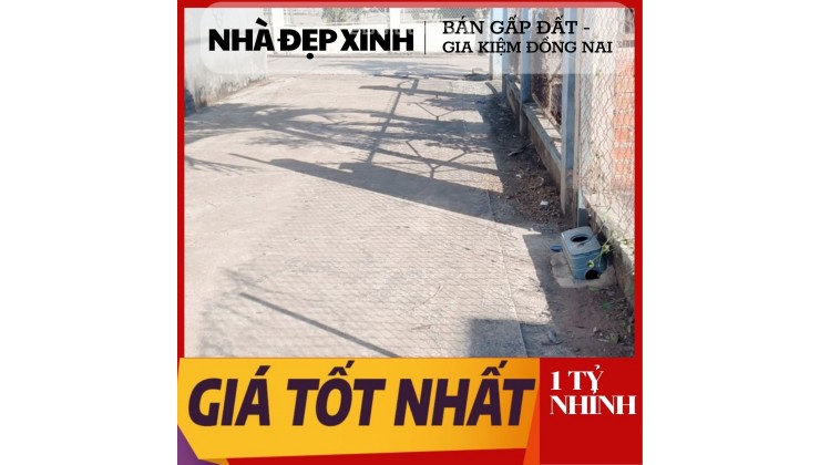 Nhà Kẹt Tiền Cần Bán Đất Thổ Cư Gấp, Gia Kiệm Đồng Nai 5.5*20m, Nhỉnh 1TỶ